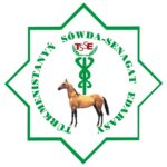 Chamber of Commerce and Industry of Turkmenistan